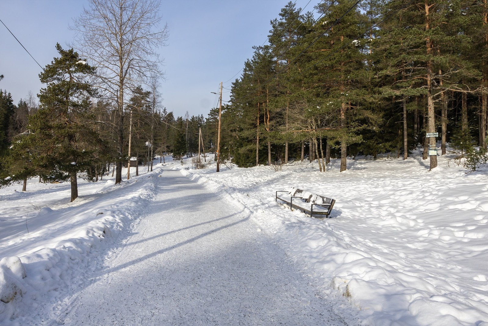 Med marka som nærmeste nabo er veien kort til naturopplevelser året rundt. Galleribilde