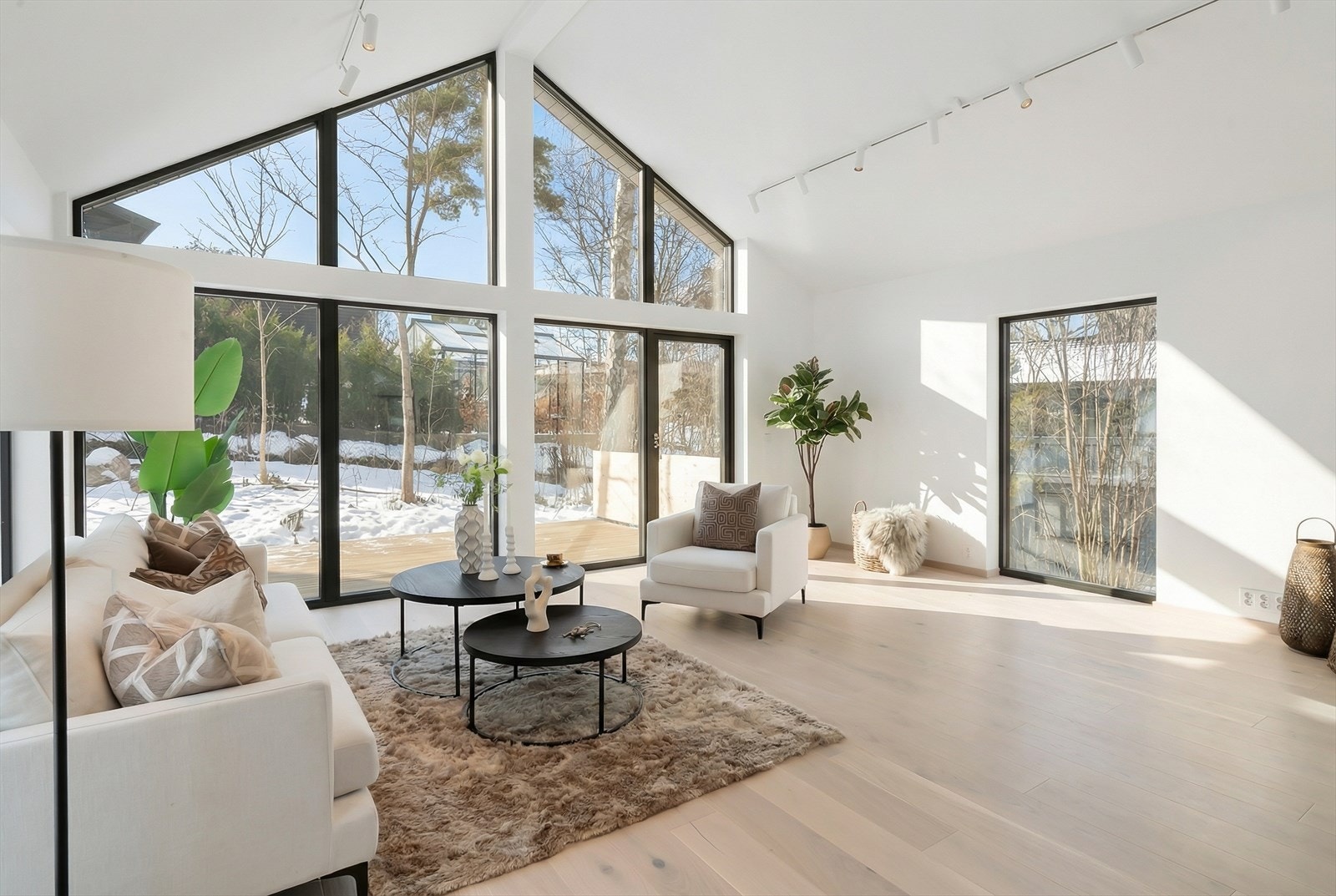 Fantastisk lysforhold som må oppleves Galleribilde