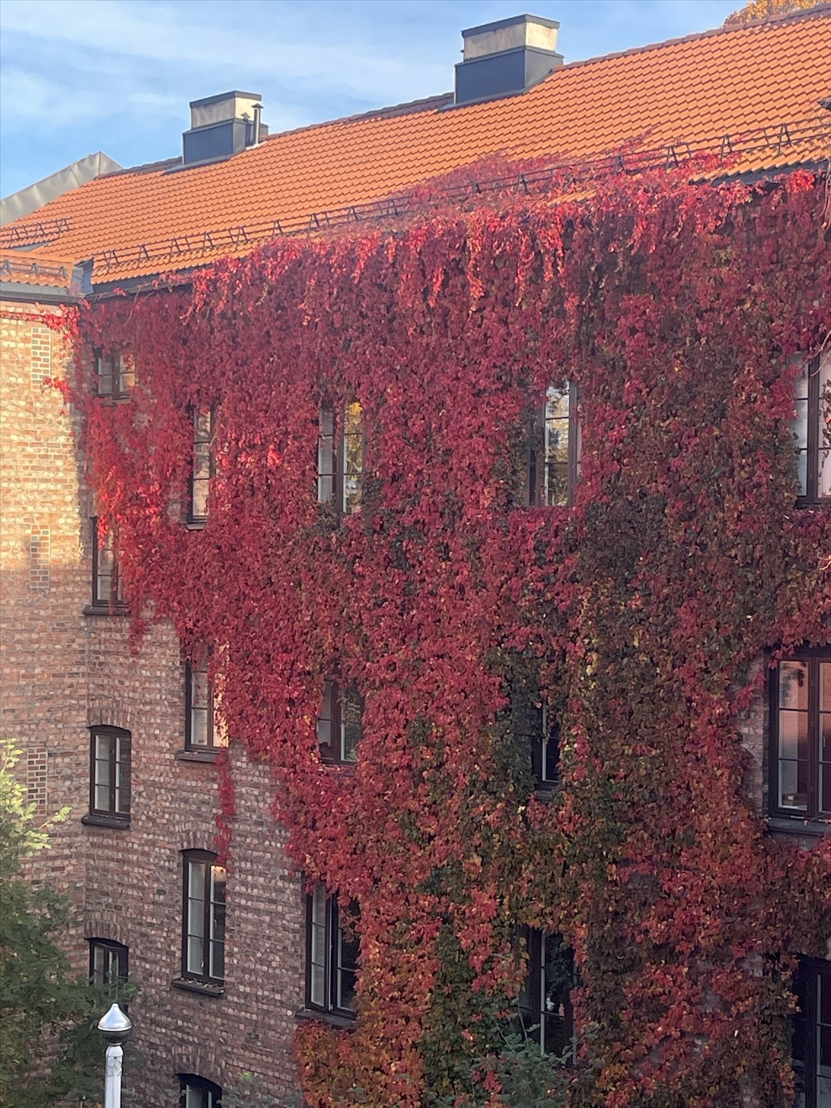 Fra selgers arkiv Galleribilde