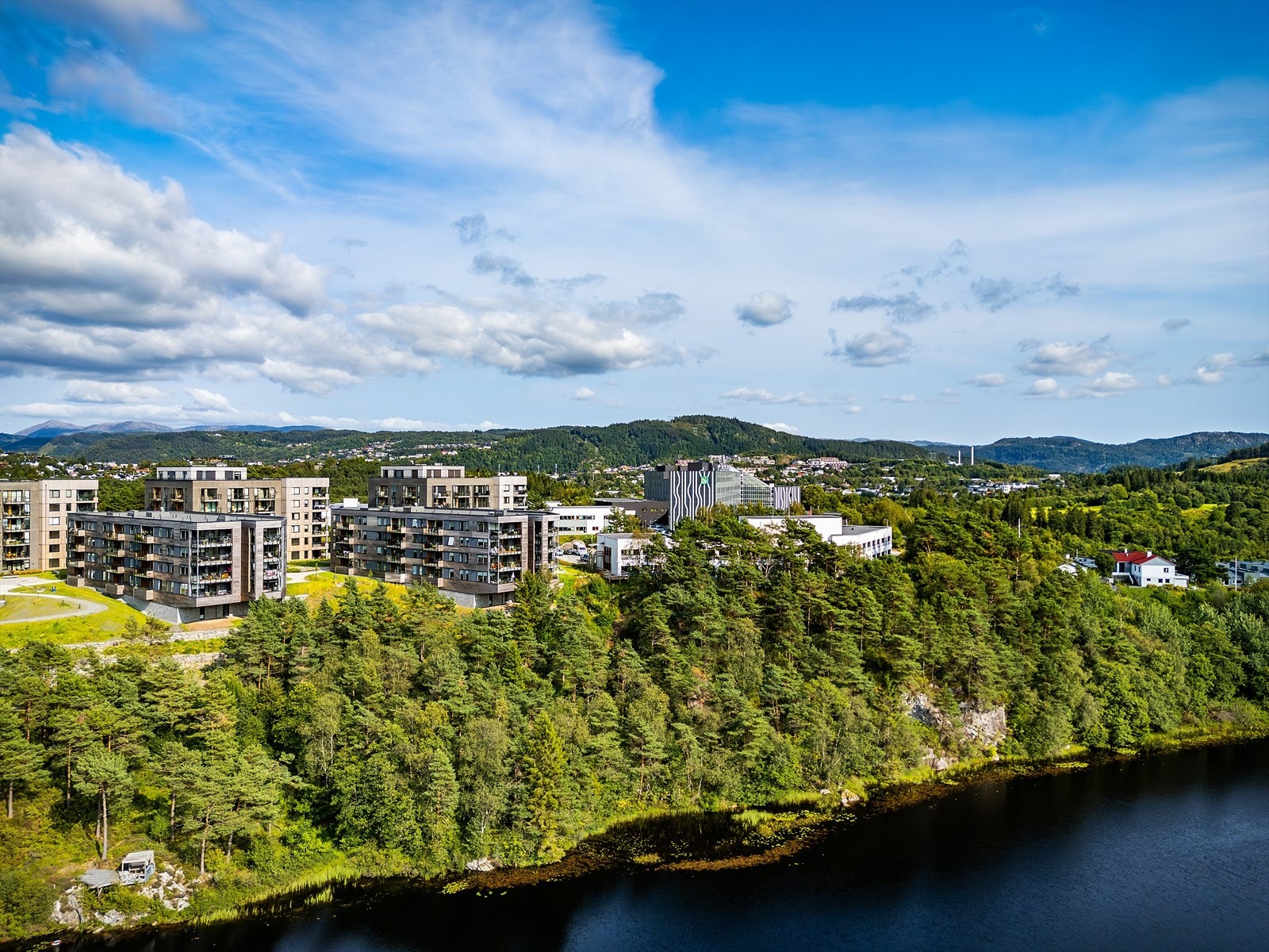 Velkommen til visning - Husk påmelding! Galleribilde