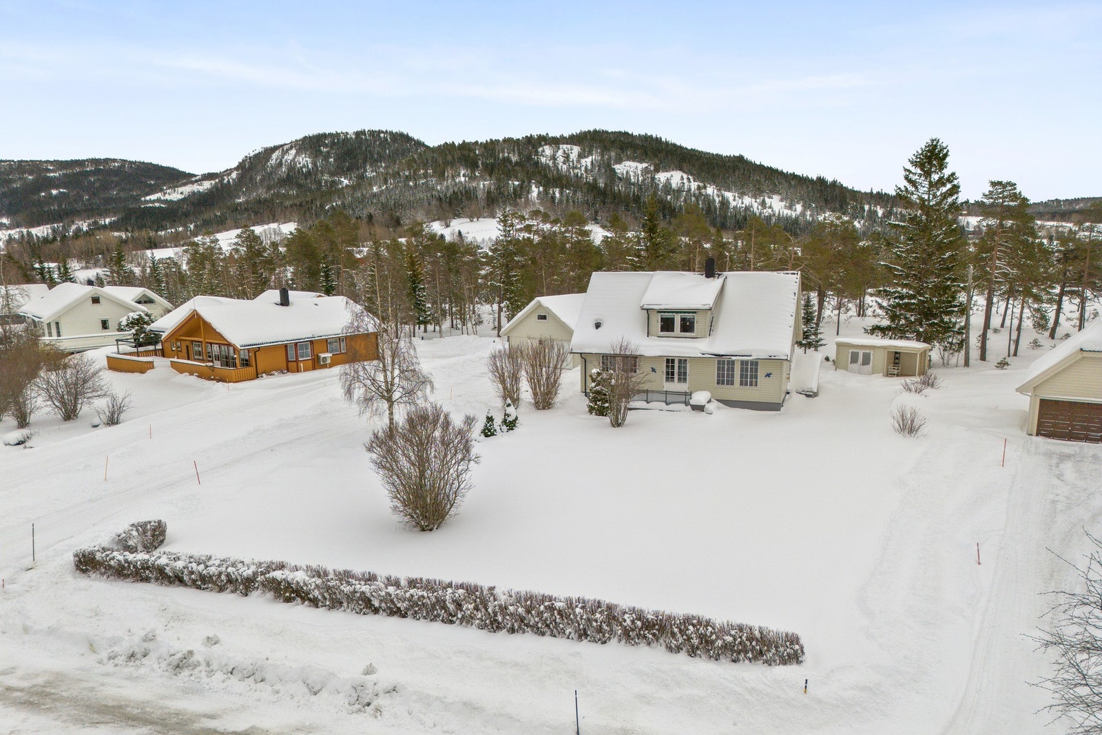 Romslig tomt som er beplantet med busker og trær Galleribilde