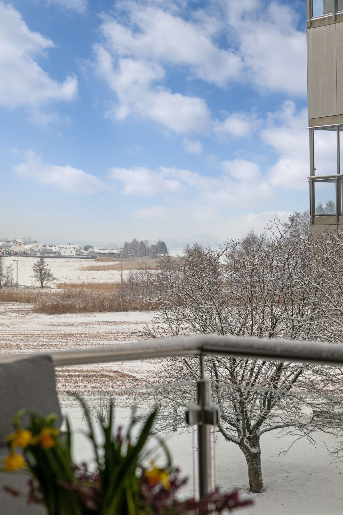 Utsikt ut mot fjorden Galleribilde