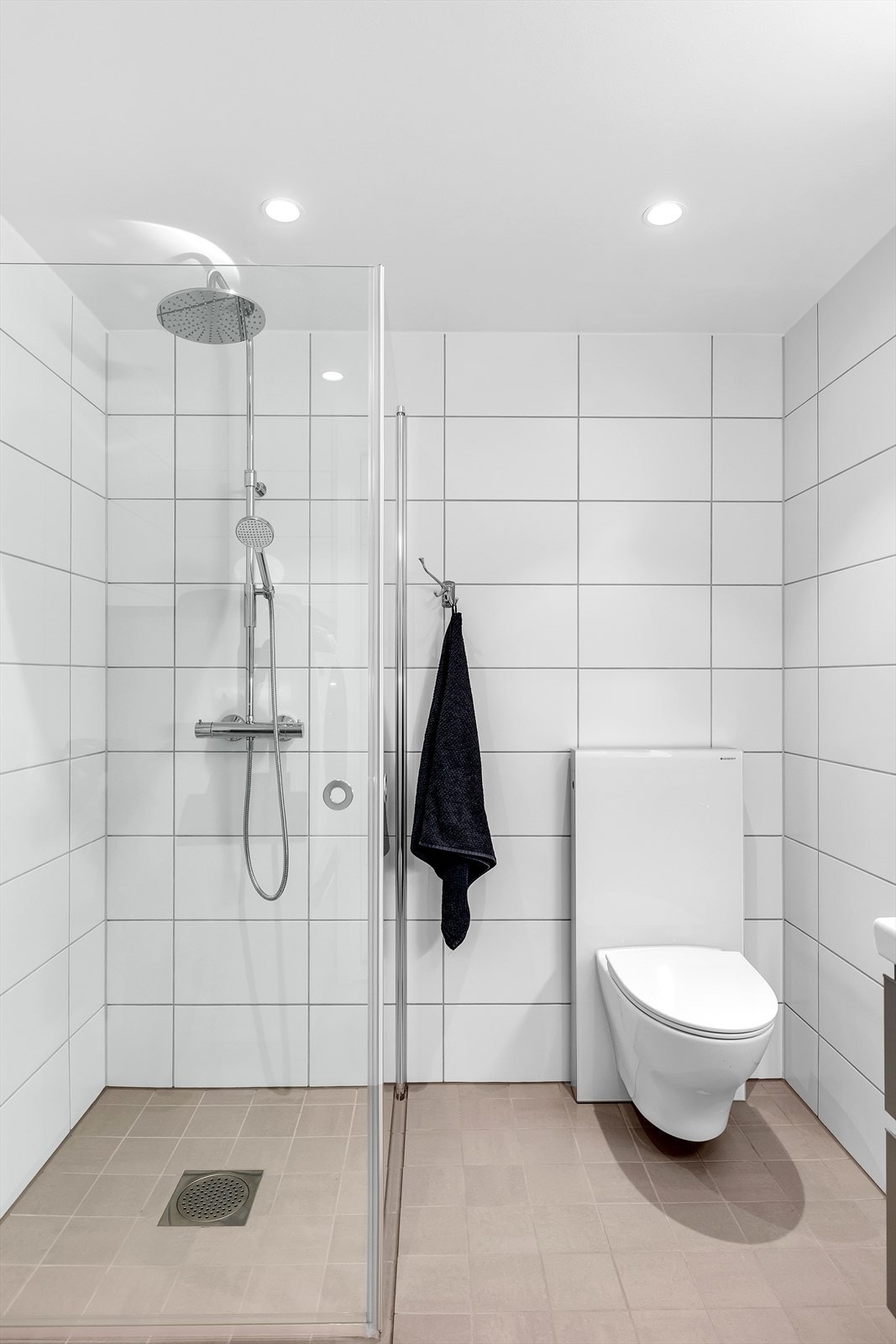 Mekanisk avtrekk på badet. Galleribilde