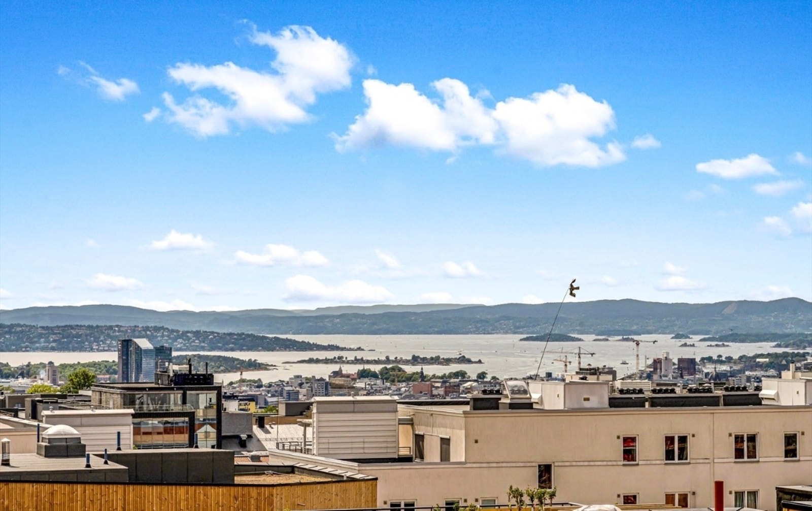 Fantastisk utsikt. Galleribilde