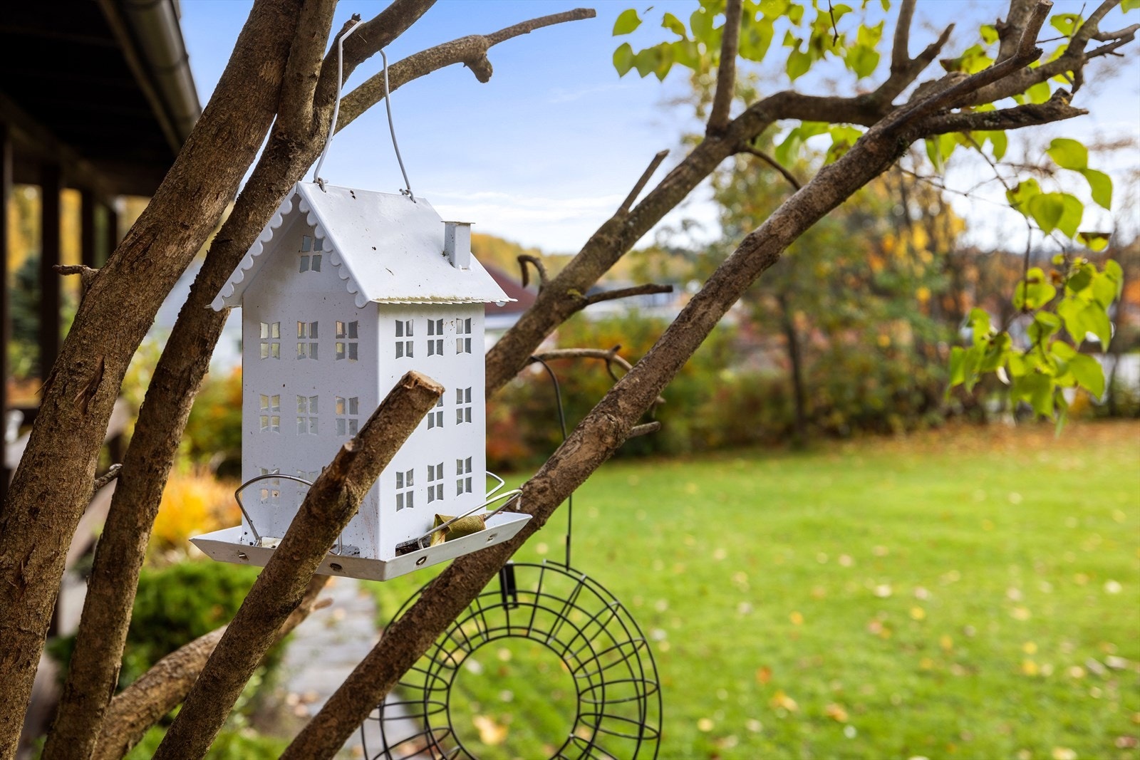 Med skog og mark rett utenfor døren er turmulighetene gode. Galleribilde