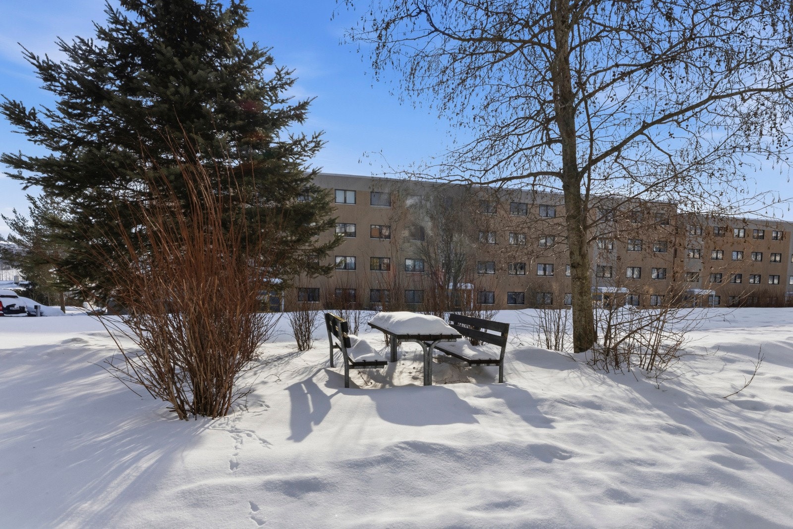 Borettslaget har et pent opparbeidet fellesområde. Galleribilde