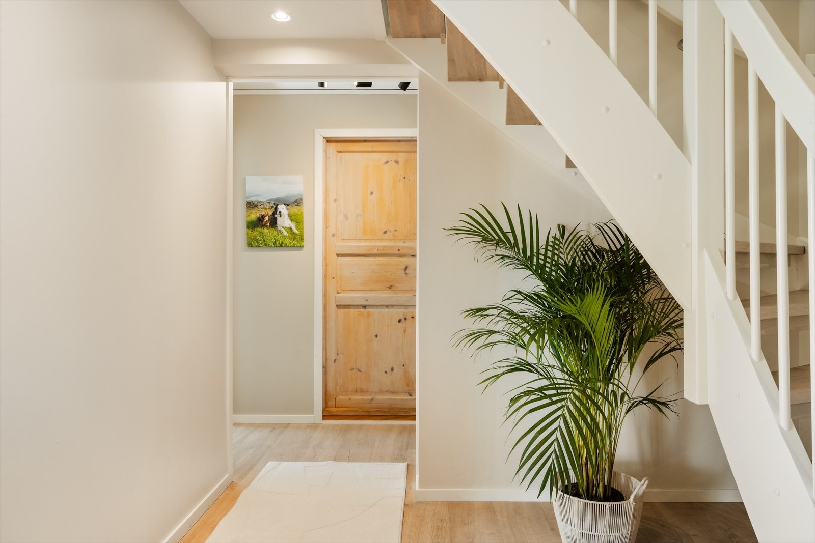 Her er det god plass til å henge fra seg! Galleribilde