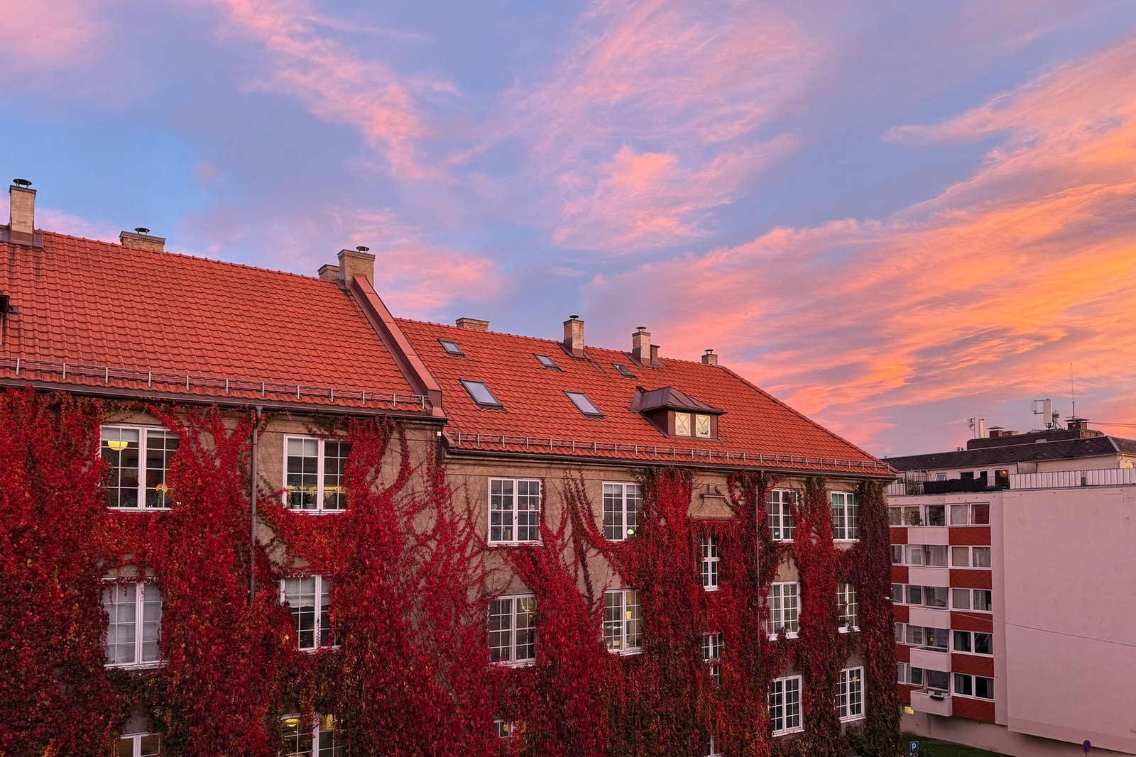 Stemingsbilde Galleribilde