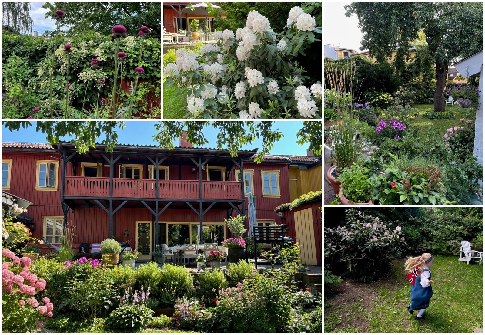 En hage som bugner om sommeren er preget av frodig vekst, duftende blomster og pæretreet. Galleribilde