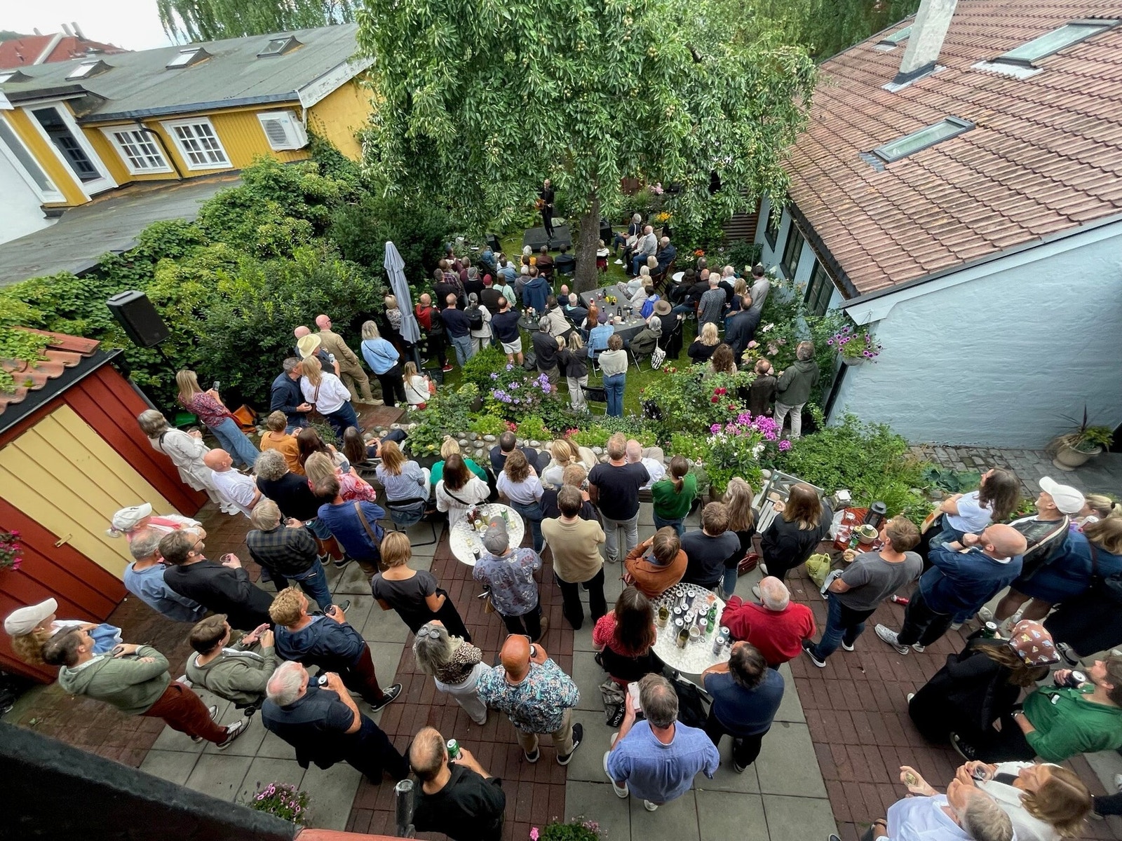 *Bilde tatt av selger under en privat konsert i hagen. Galleribilde