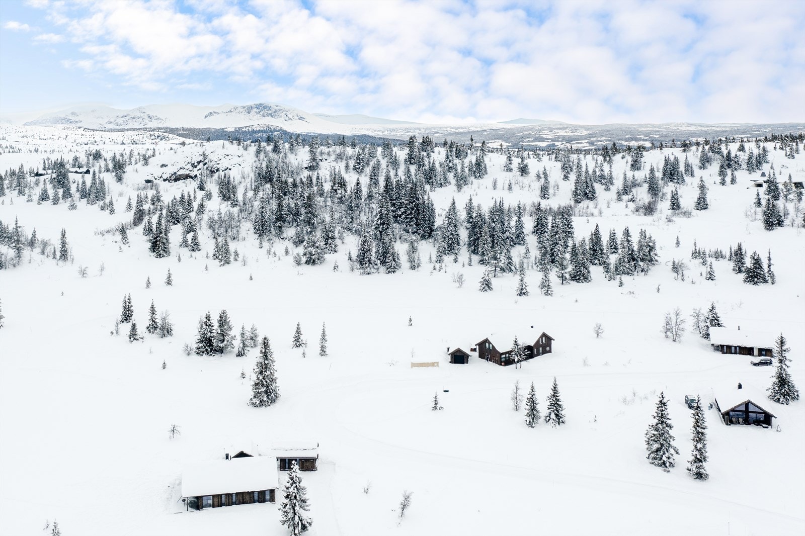 Flott endetomt mot sørvest med nydelig solforhold Galleribilde