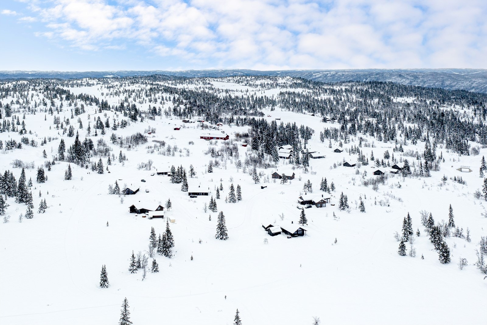 Solrikt og fritt Galleribilde