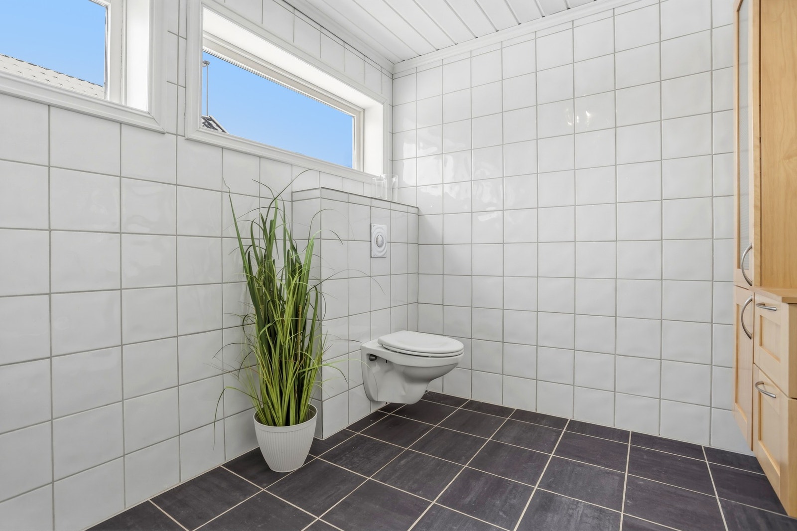 Vegghengt toalett Galleribilde