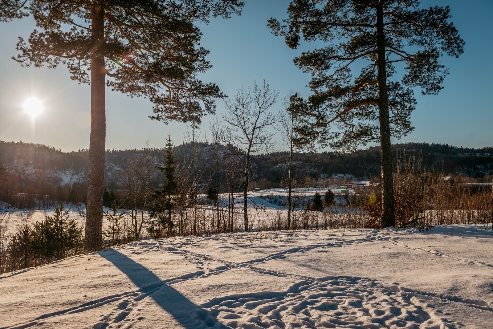 En fredelig utsikt fra uteplass og hage. Galleribilde
