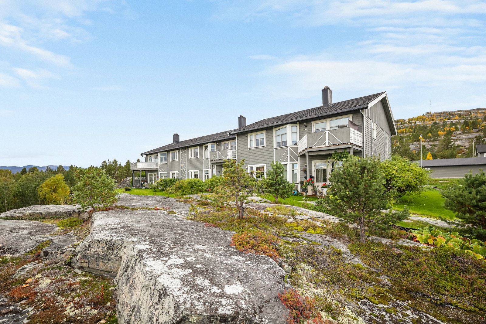 Velkommen på visning! Galleribilde