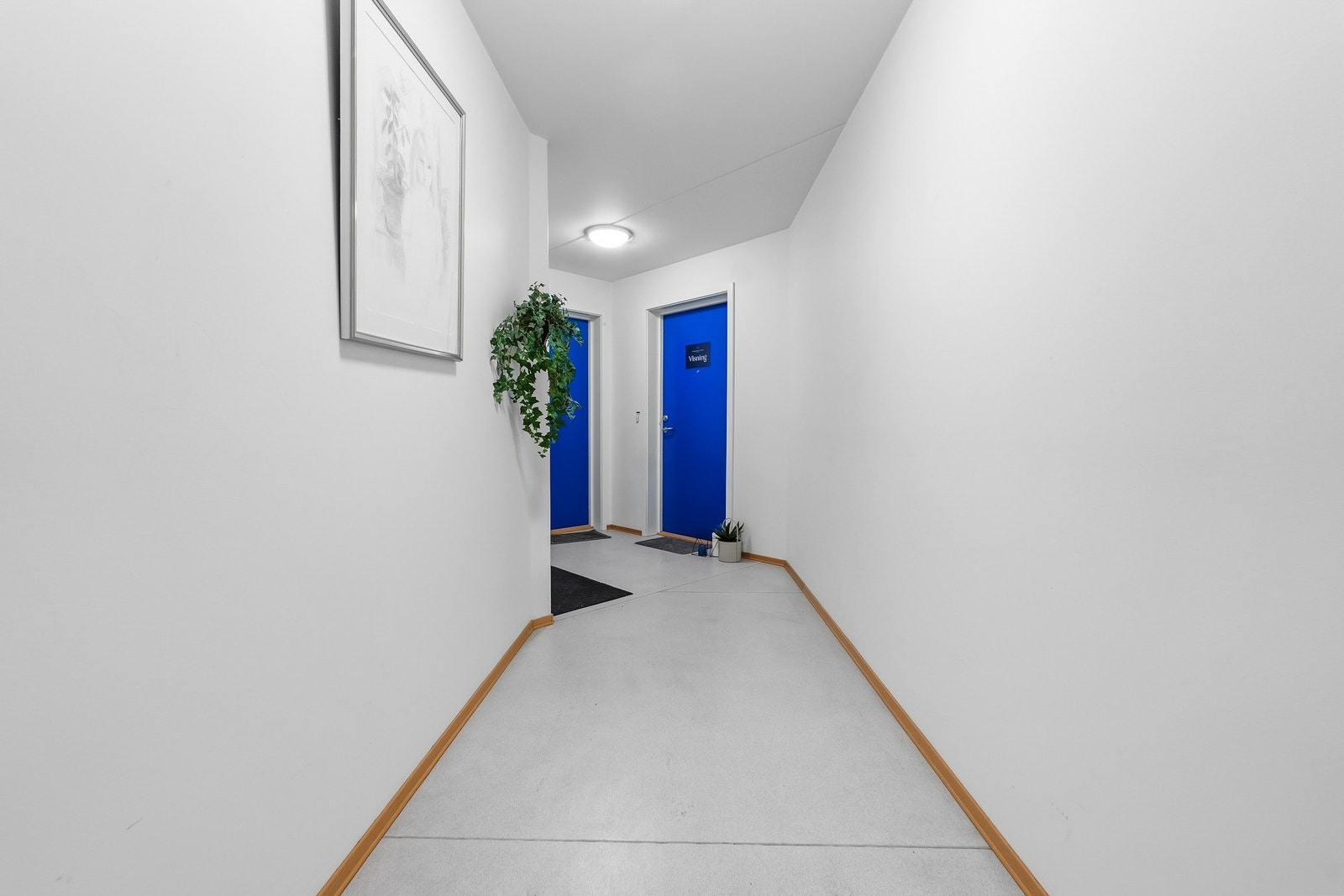 Det er en felles gang som deles med en annen leilighet før man går inn. Galleribilde