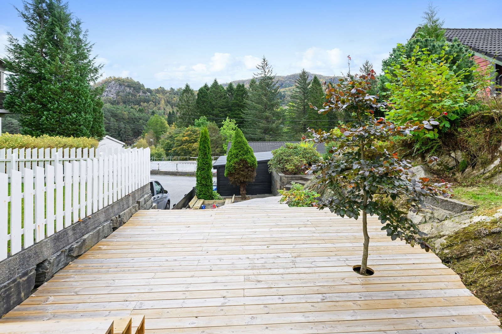 På eiendommen finner en et flust av frukttrær og -busker, i tillegg til et nydelig japansk kirsebærtre. Galleribilde