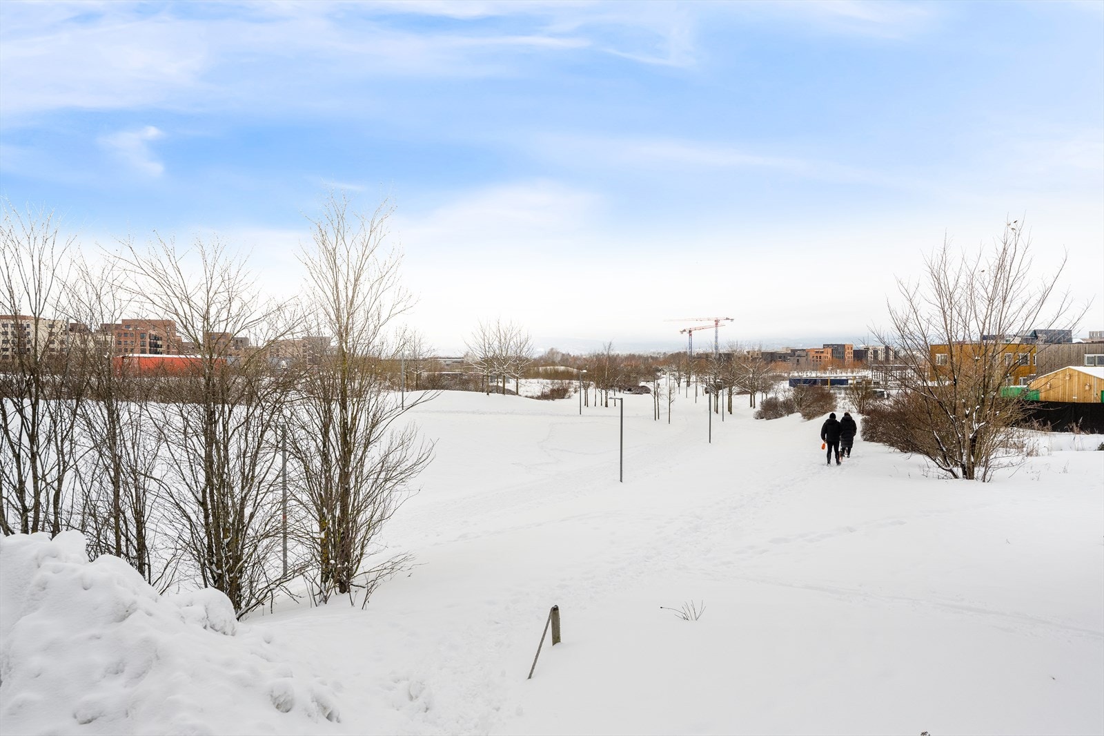 Med Nansenparken som nærmeste nabo har du tilgang til flotte turområder rett utenfor døren. Galleribilde