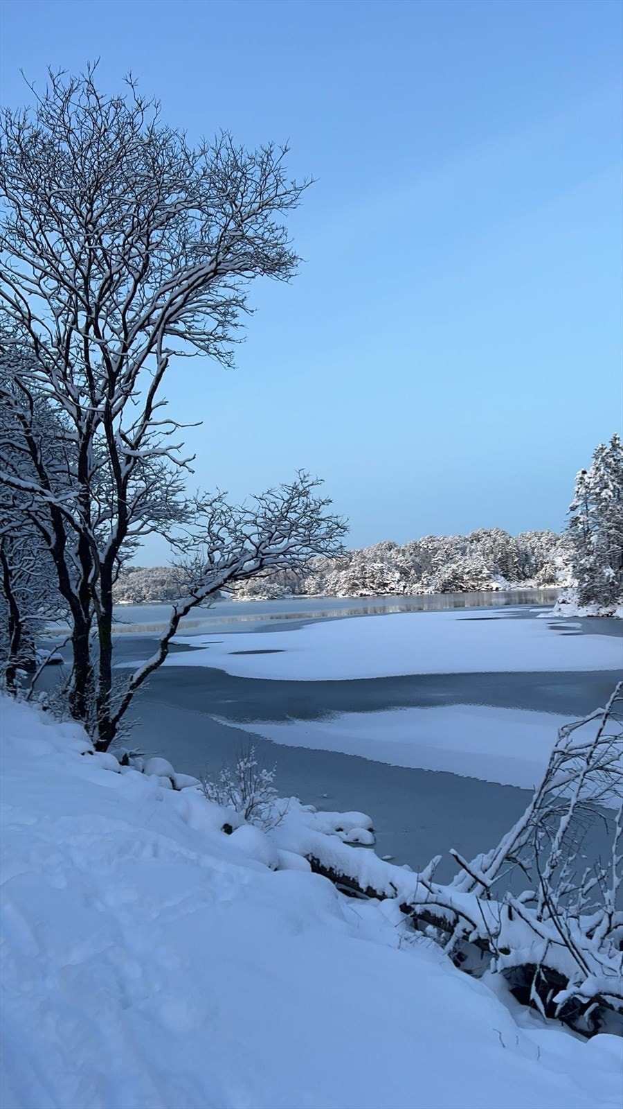 Småvatnet-rett utenfor døren! Galleribilde