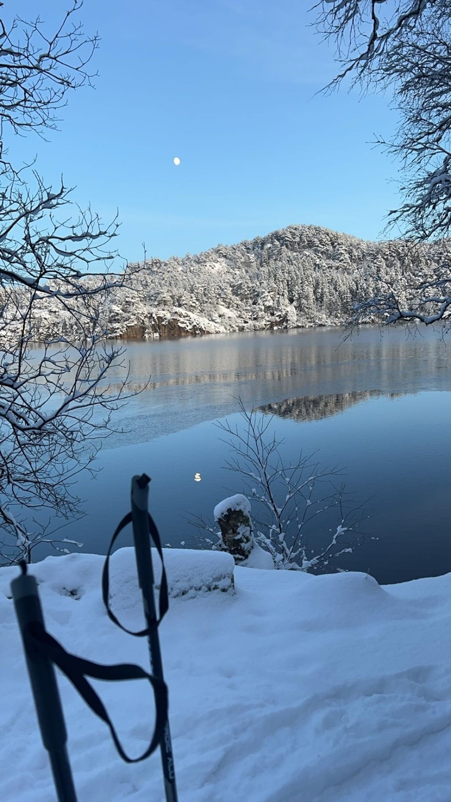 Alvøskogen som nærmeste nabo med nydelige turstier Galleribilde