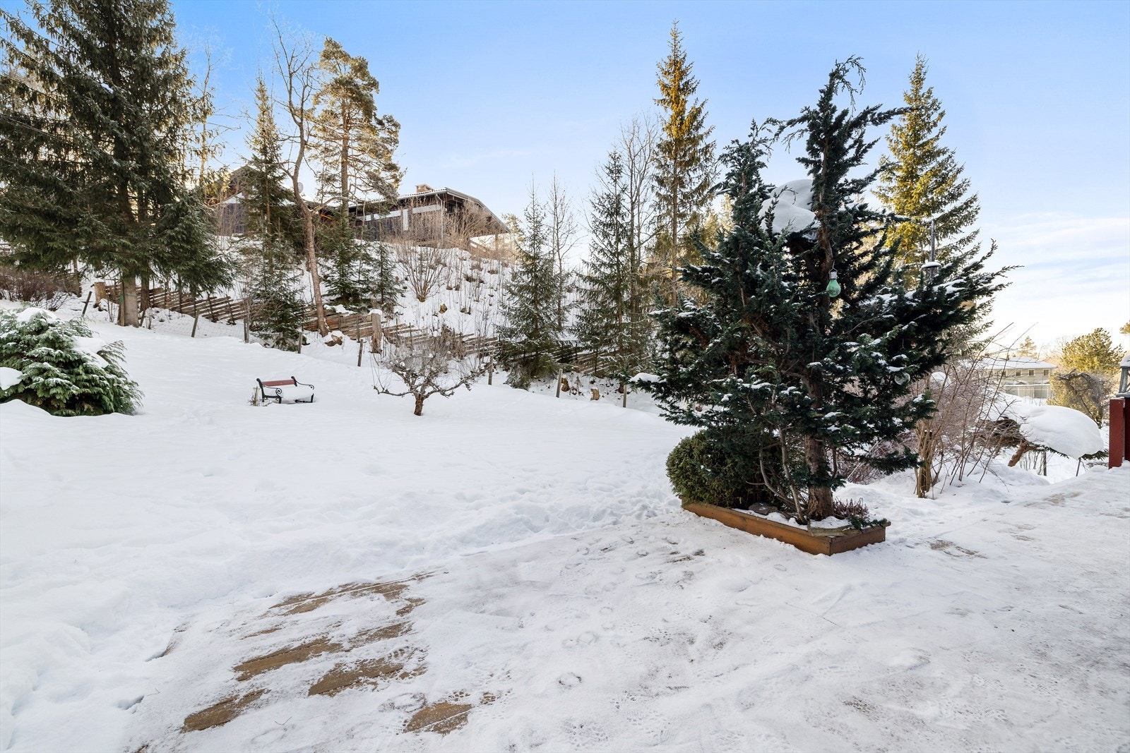 Den store tomten er pent opparbeidet med plen og diverse beplantning. Galleribilde