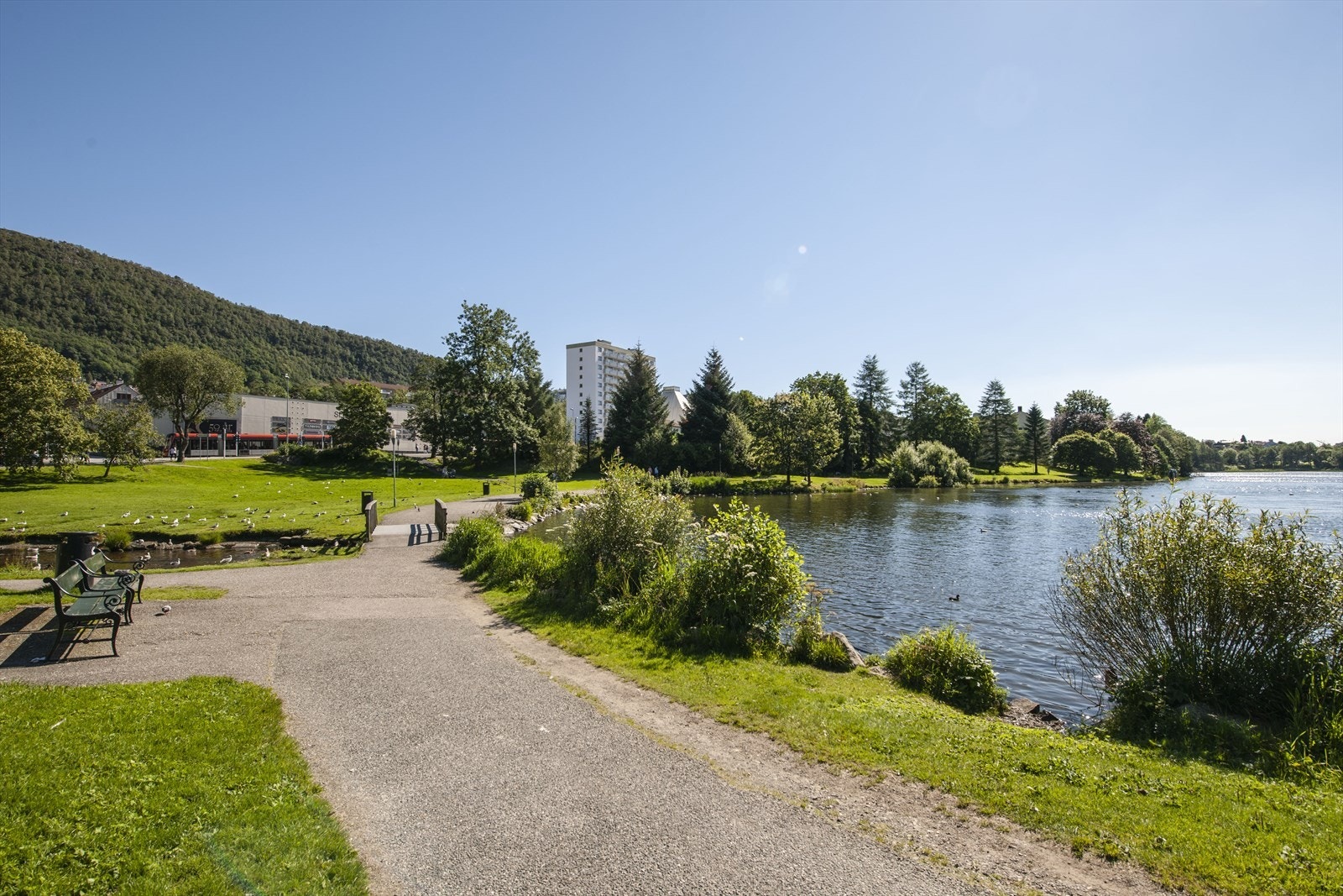 Flere flotte turmuligheter i nærområdet, en liten spasertur unna ligger idylliske Tveitevannet. Galleribilde
