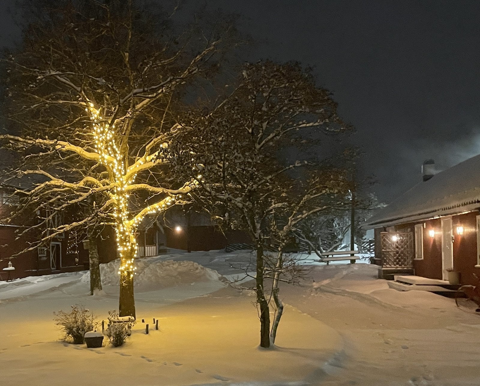 Magisk stemning på tunet. Privat bilde. Galleribilde