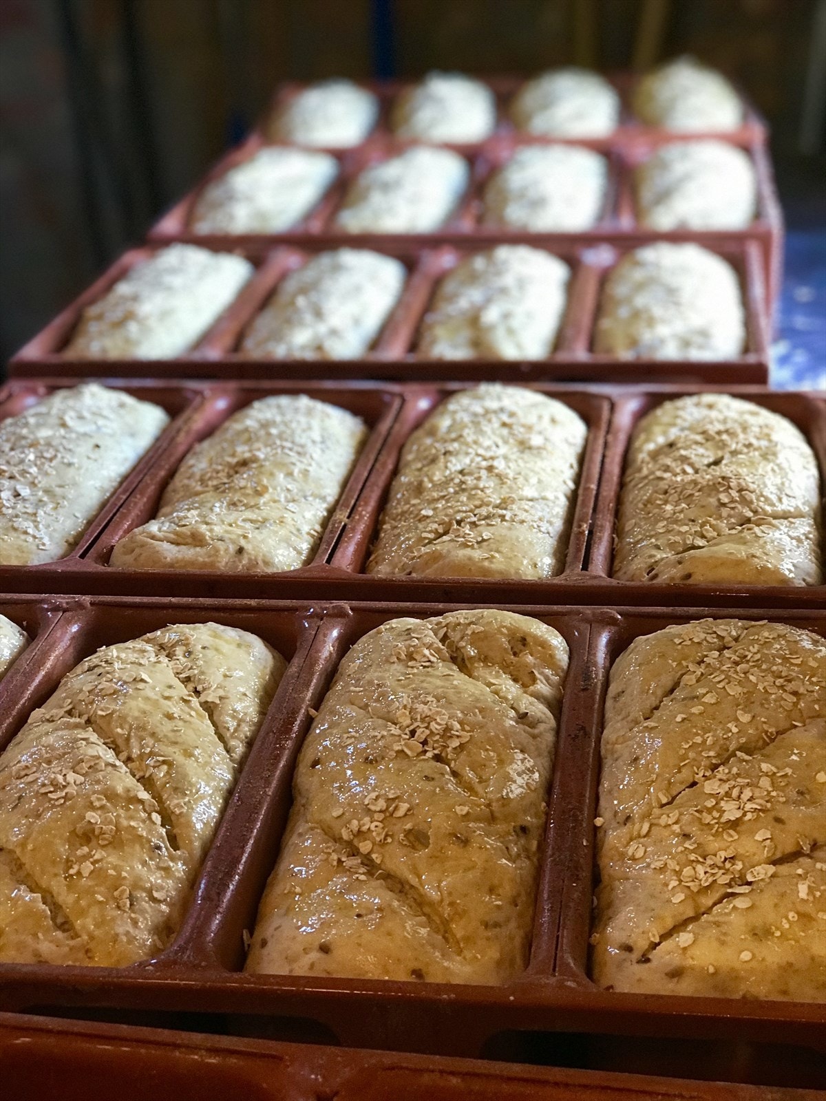 Bakedag i baksthuset. Privat bilde. Galleribilde