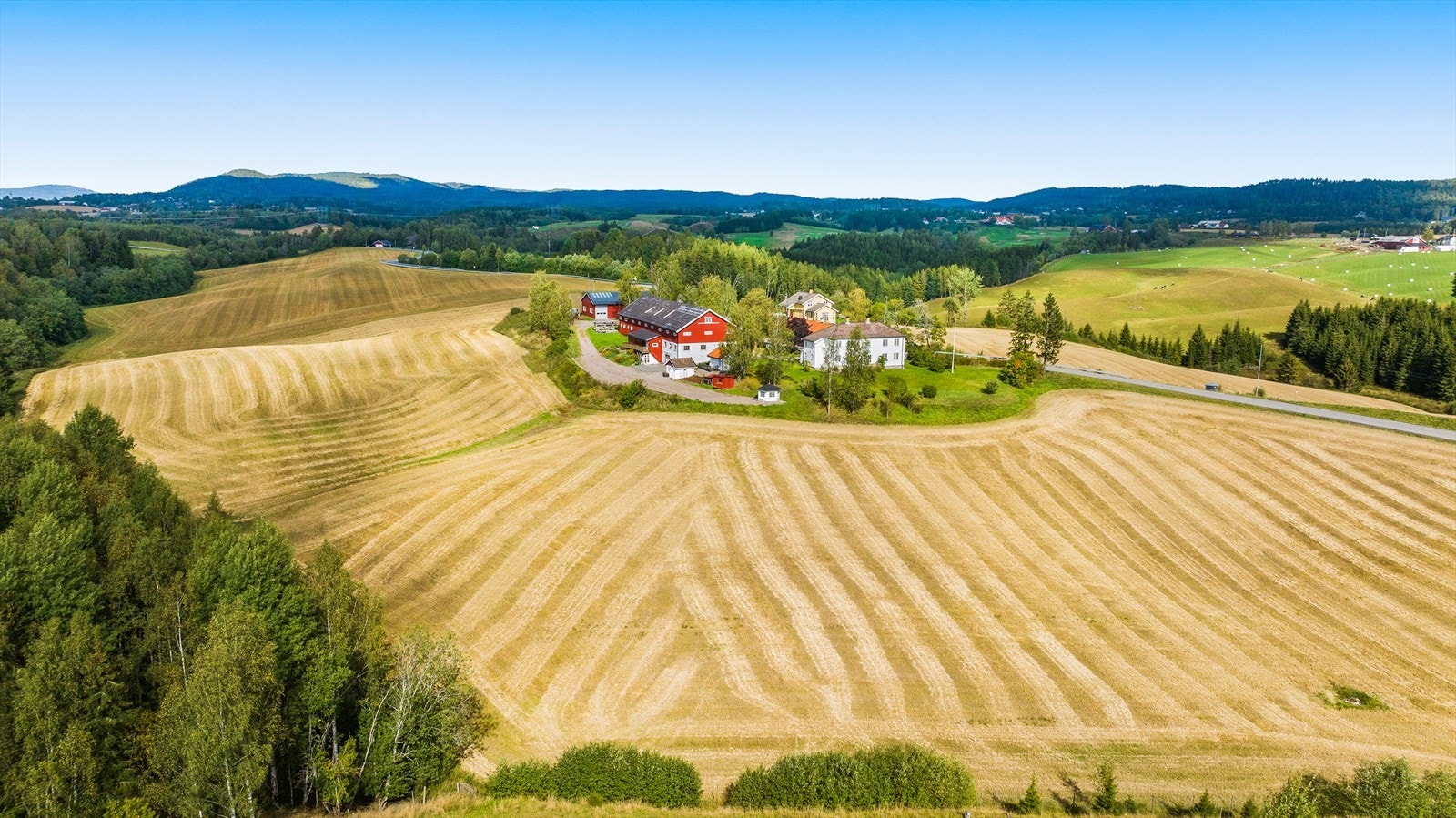 Dyrket mark rundt tunet. Galleribilde