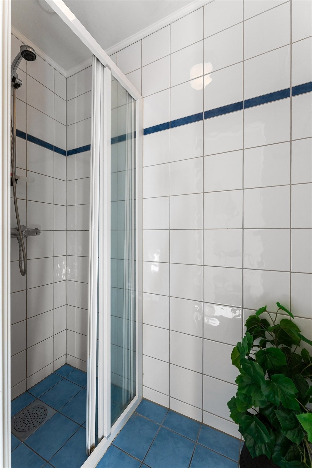 Dusj er vegg i vegg med toalettet/bad Galleribilde