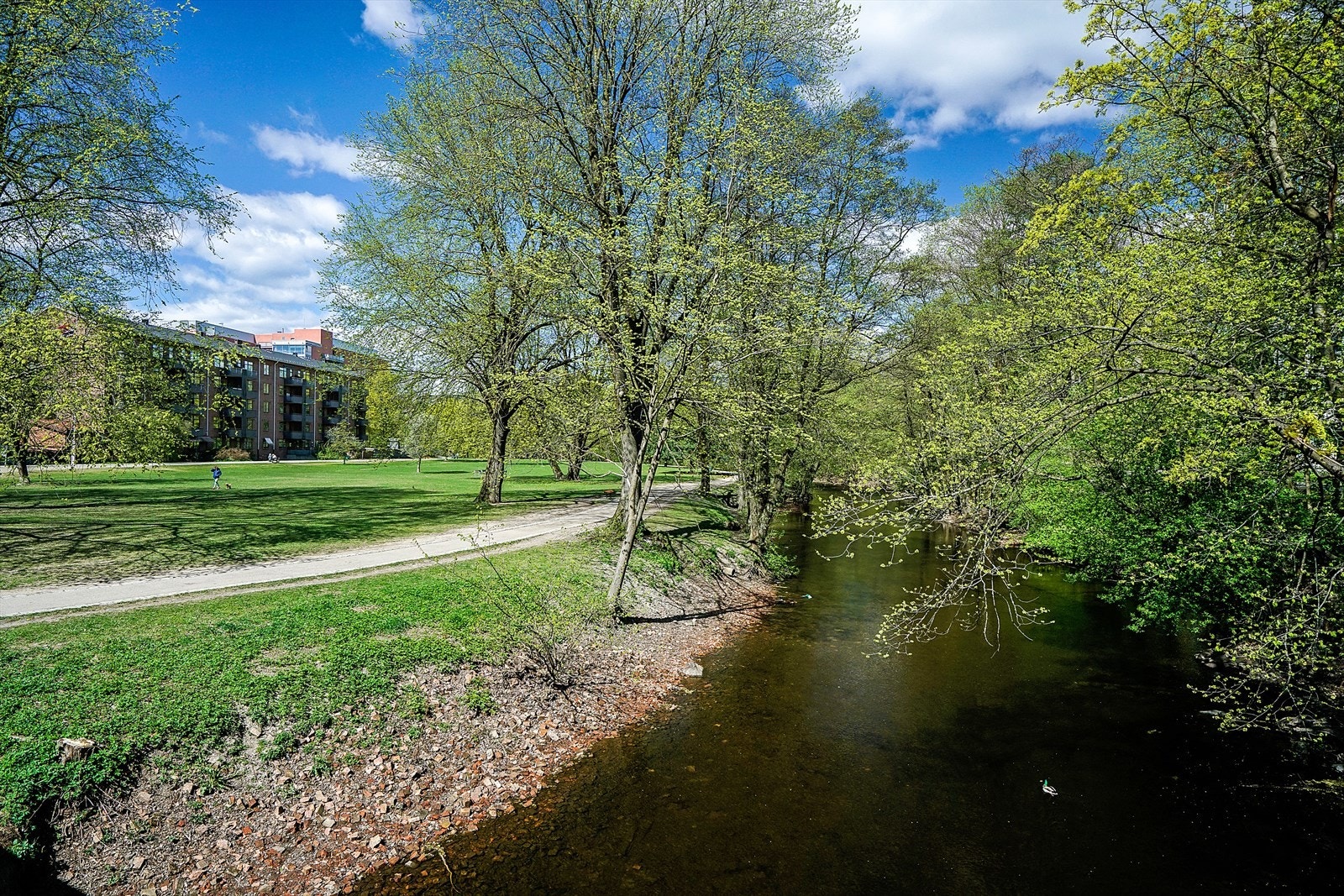 Fra boligen er det kort avstand til fine tur- og parkområder Galleribilde