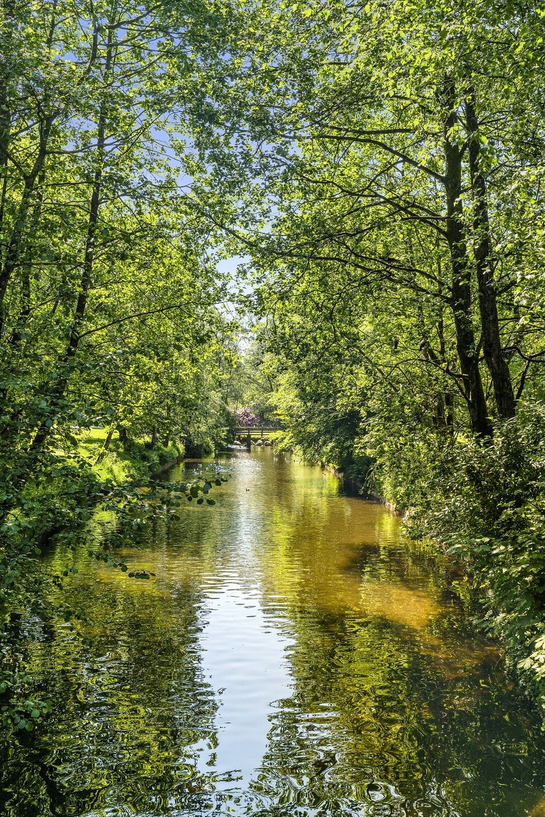 Nyt stillheten i parken. Galleribilde