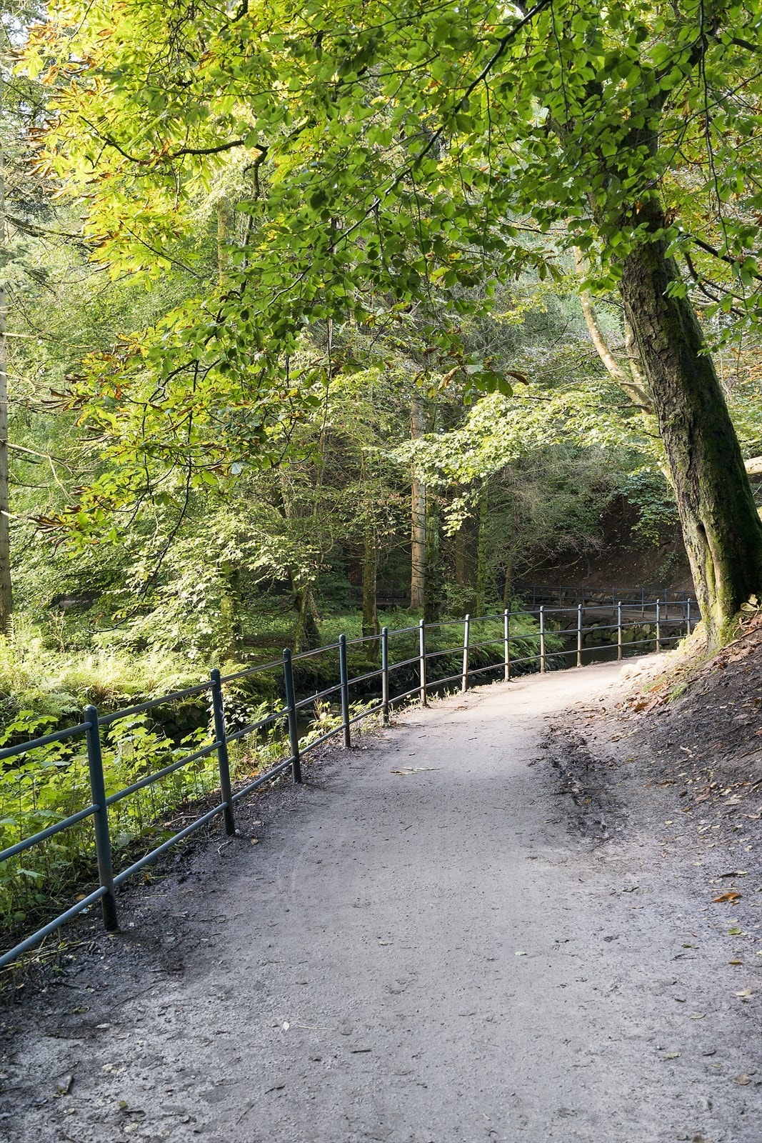 Velkommen til visning. Galleribilde