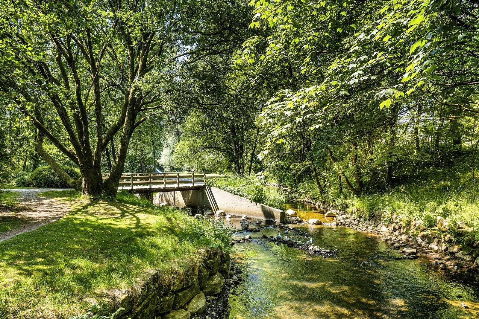 Nærområde. Galleribilde