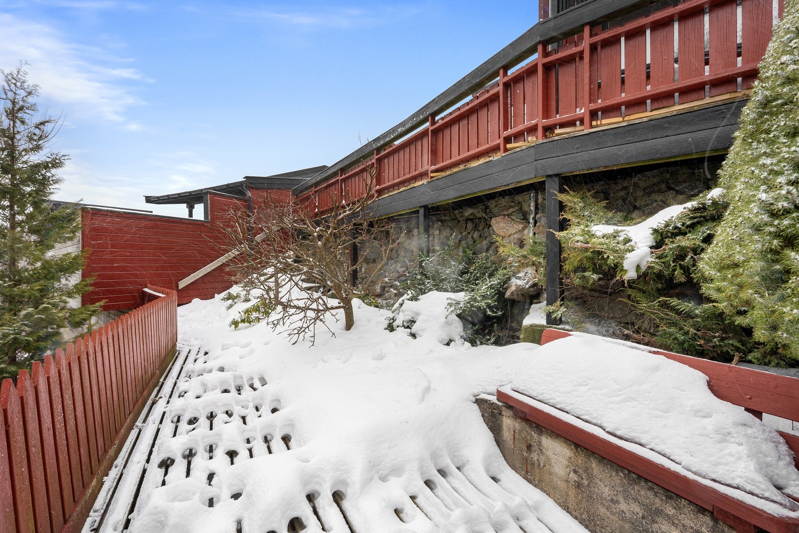 - Fin, opparbeidet tomt - Galleribilde