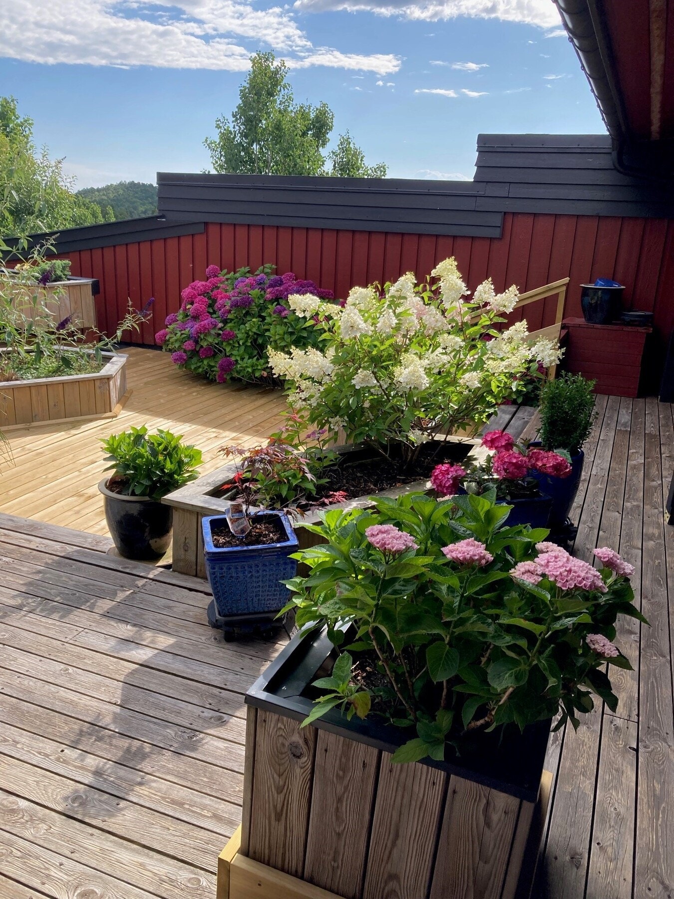 - Fin, nyere terrasse som er blitt oppgradert i senere tid - Galleribilde