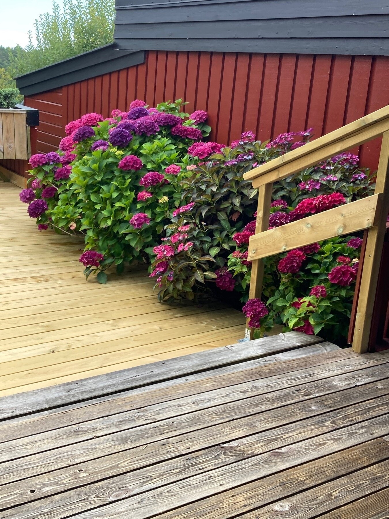 - Det er bare å glede seg til vår og sommer! - Galleribilde