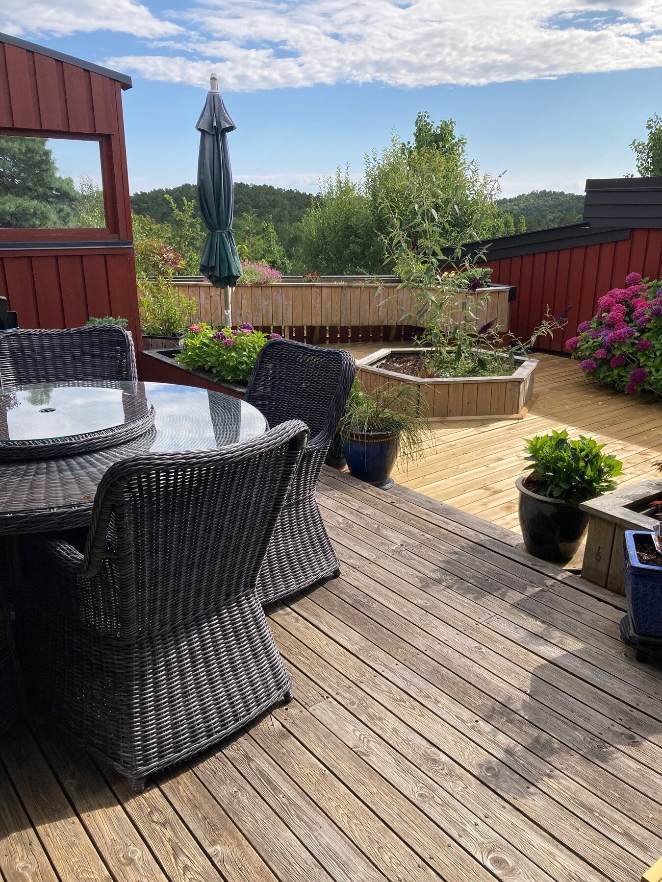 - Hyggelig sommerhilsen fra eierne - Galleribilde