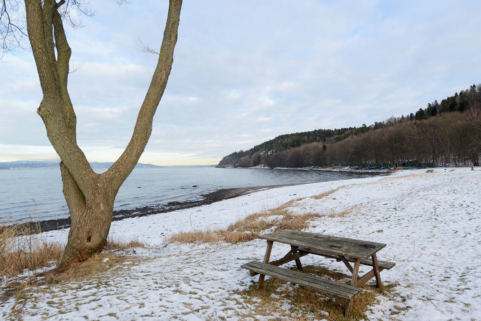 Refsnesstranda. Galleribilde