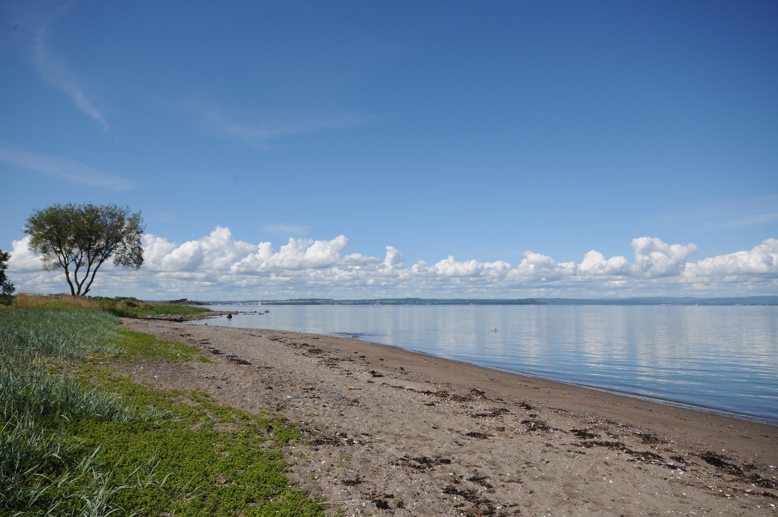 Refsnesstranda. Galleribilde