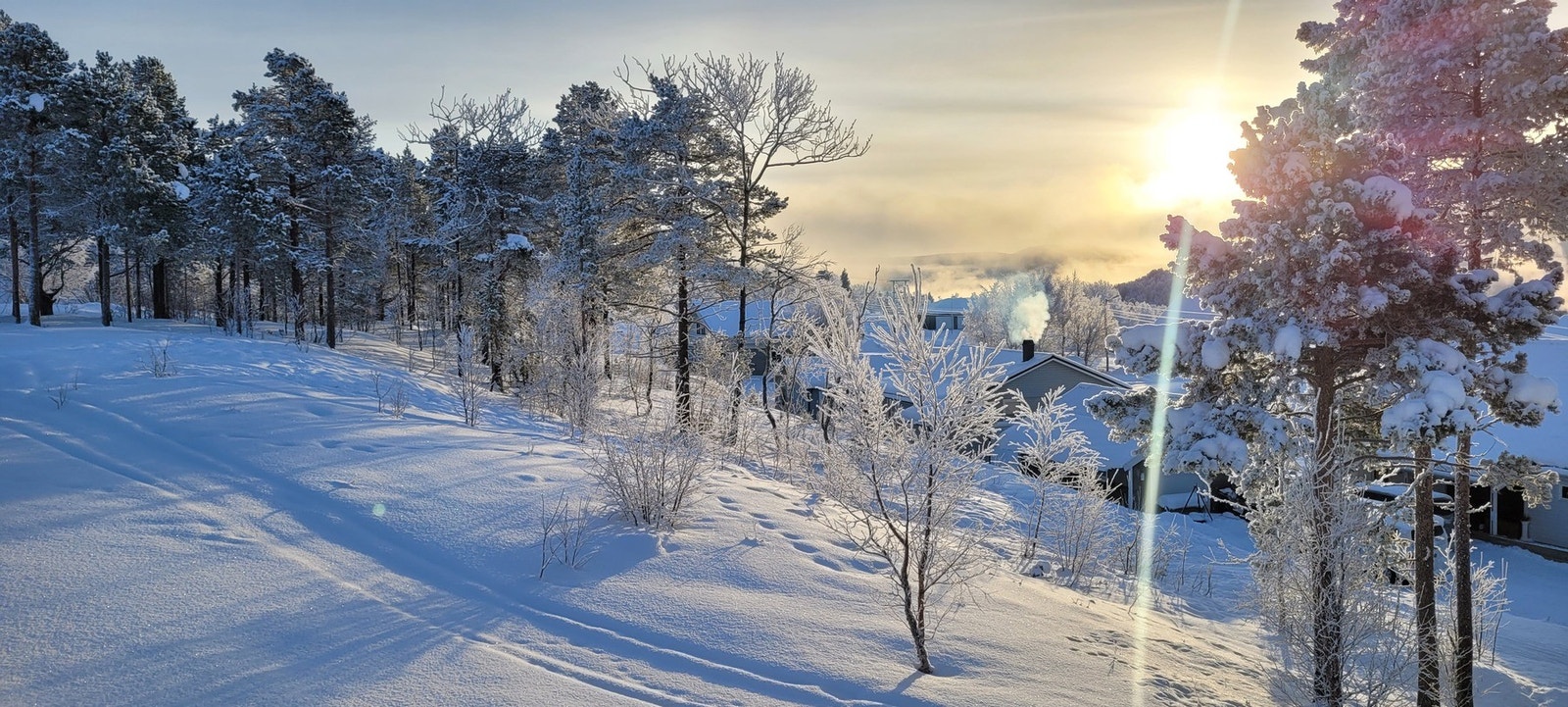 Nærområde
Bilde tatt av selger Galleribilde