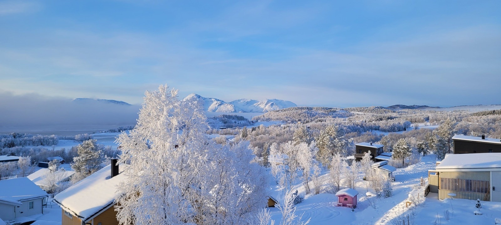 Utsikt
Bilde tatt av selger Galleribilde