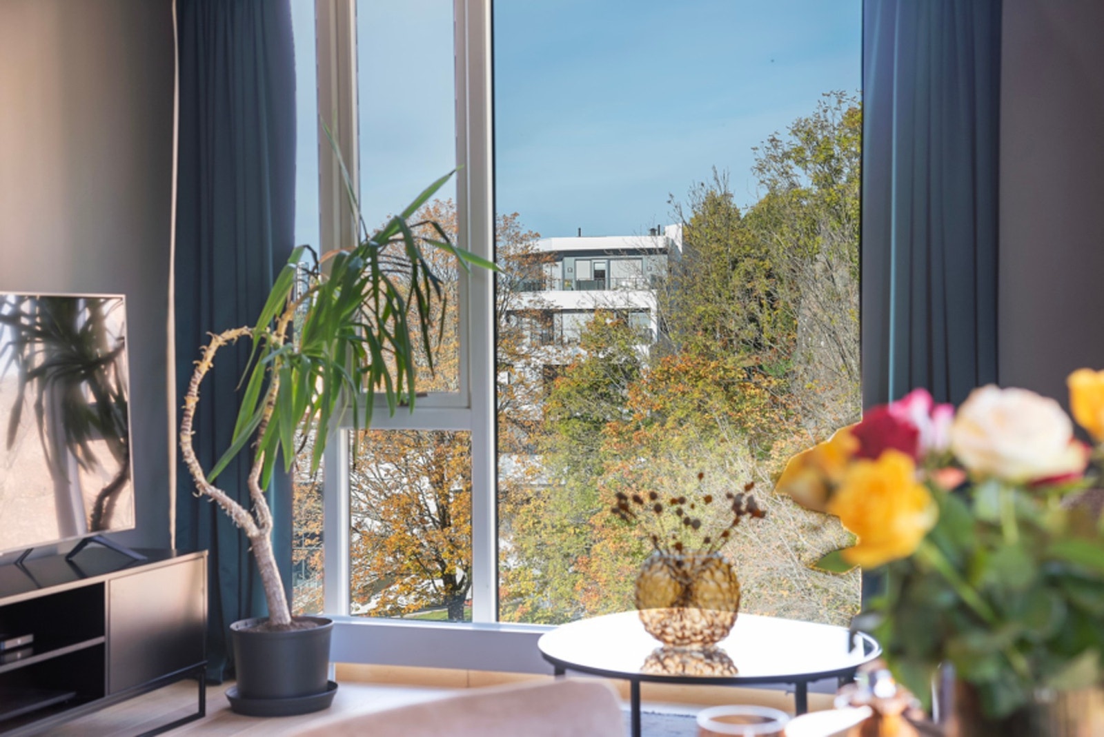 Moderne og trivelig leilighet med heis helt ned til parkeringen Galleribilde