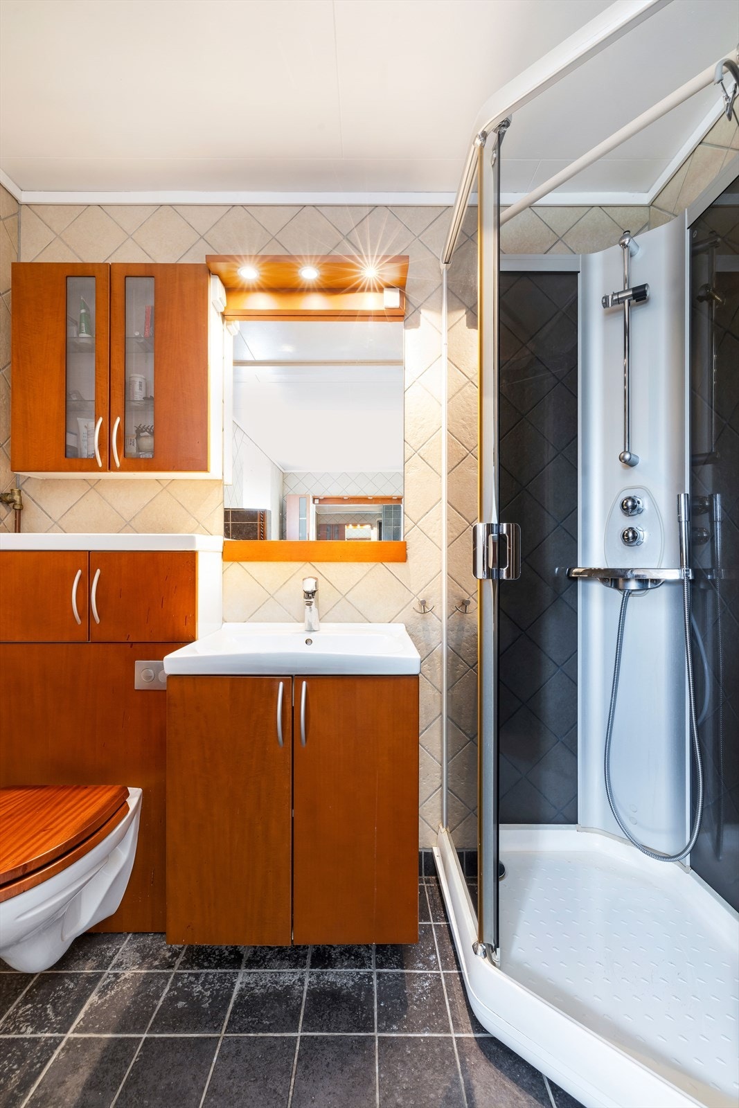 Vegghengt toalett, servant og dusjkabinett. Galleribilde