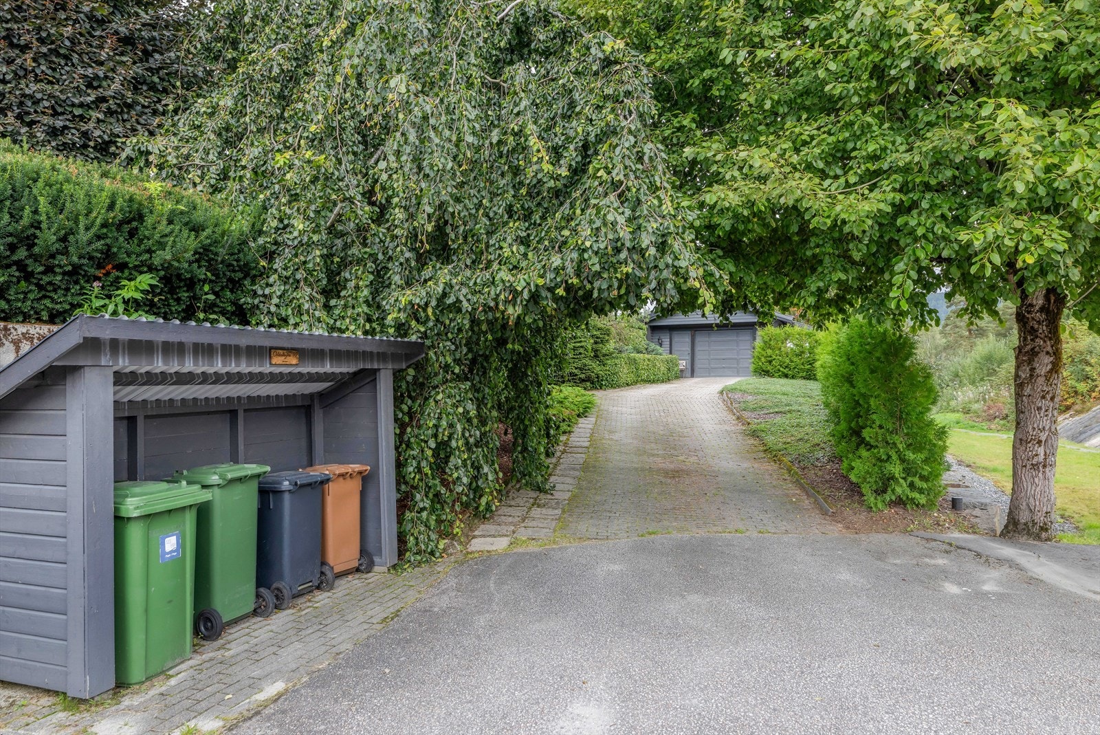 Gjennomført tomt med prydbusker, trær og hekk. Galleribilde