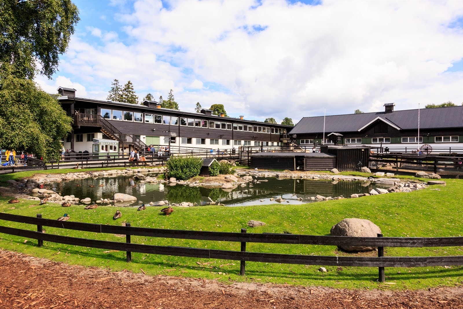 Ekeberg besøksgård er et populært og hyggelig tilbud for helgeaktiviteter med hele familien. Galleribilde