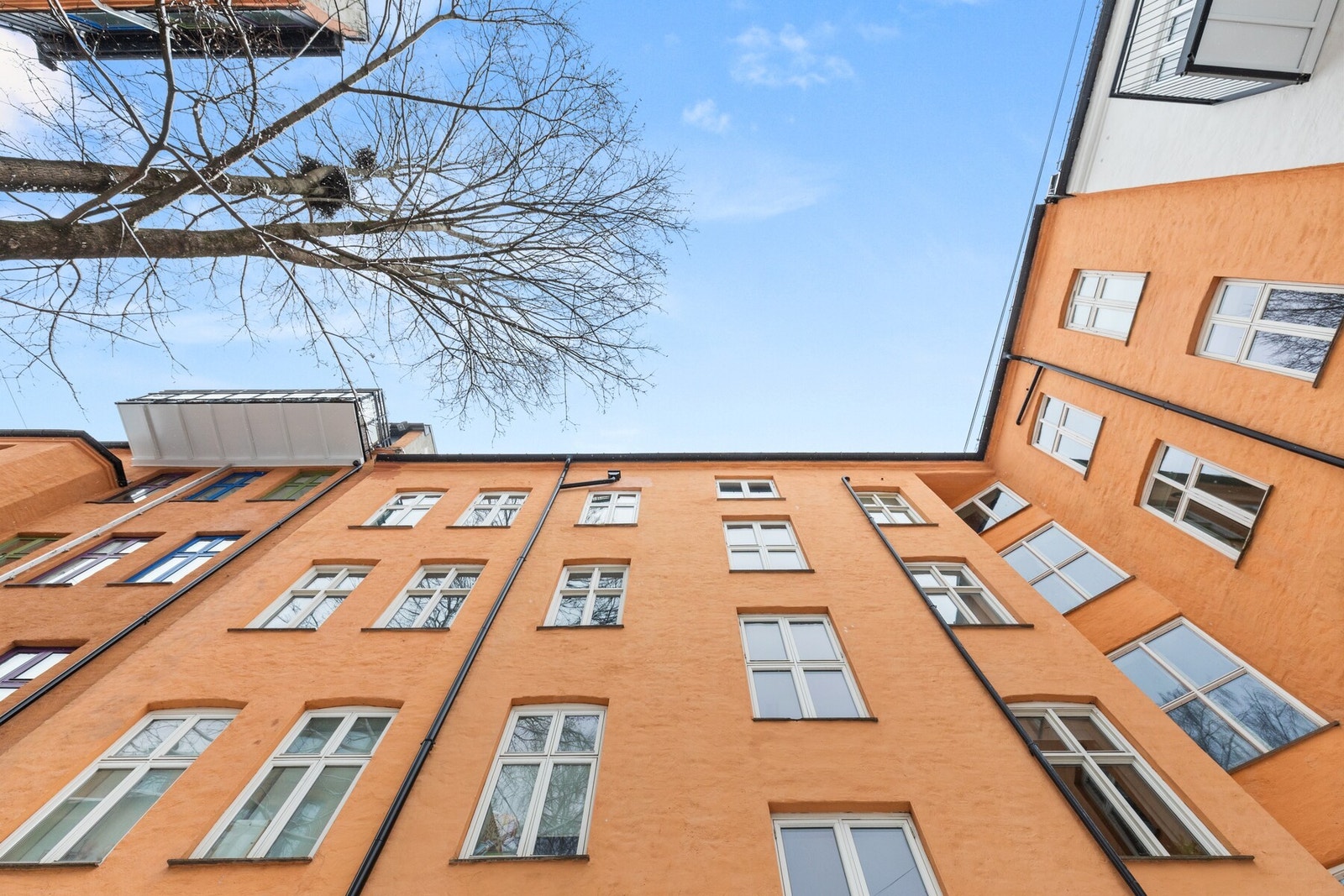 Fasade. Galleribilde