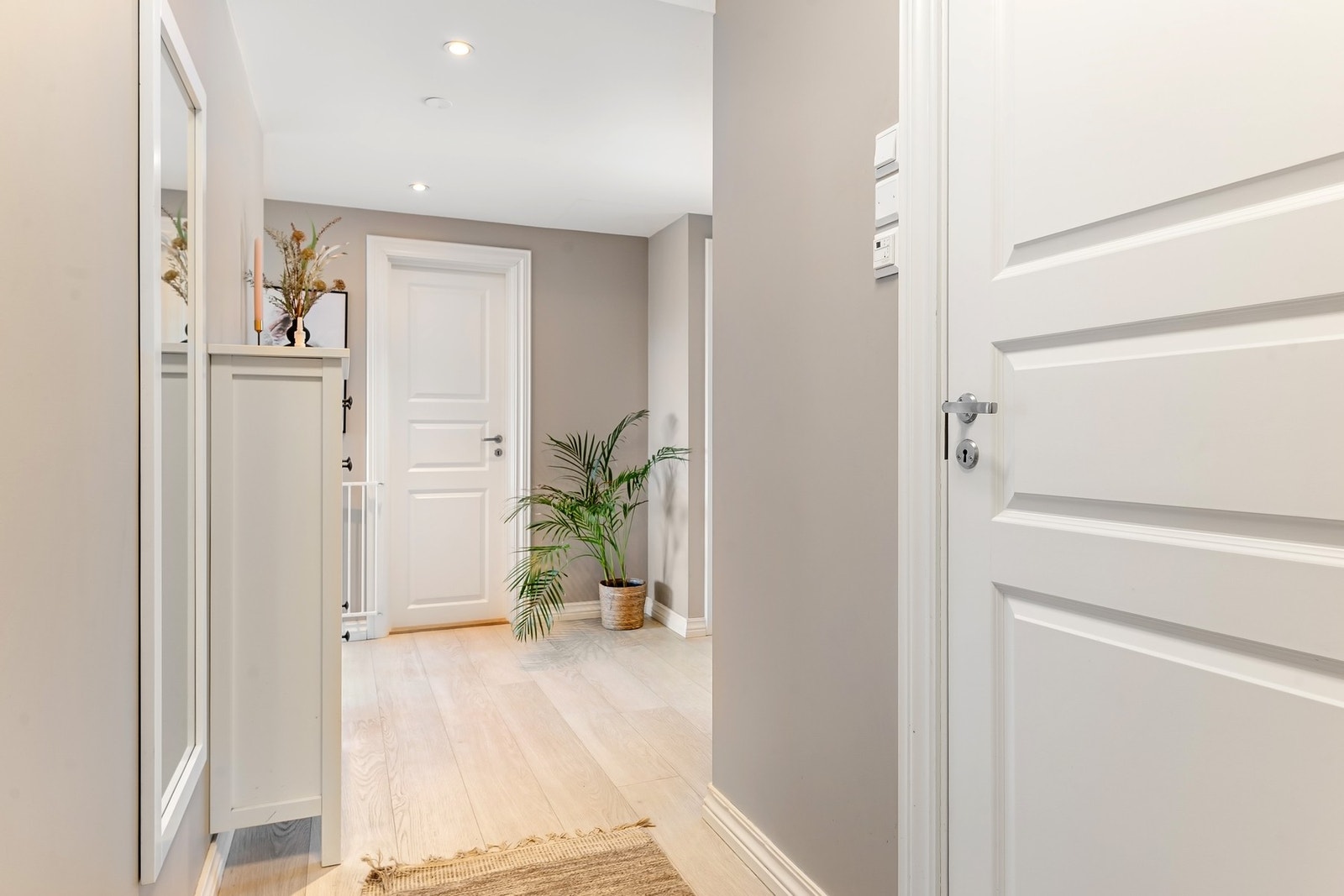 Entré/gang - pen leilighet pusset opp hovedsakelig 2021 Galleribilde