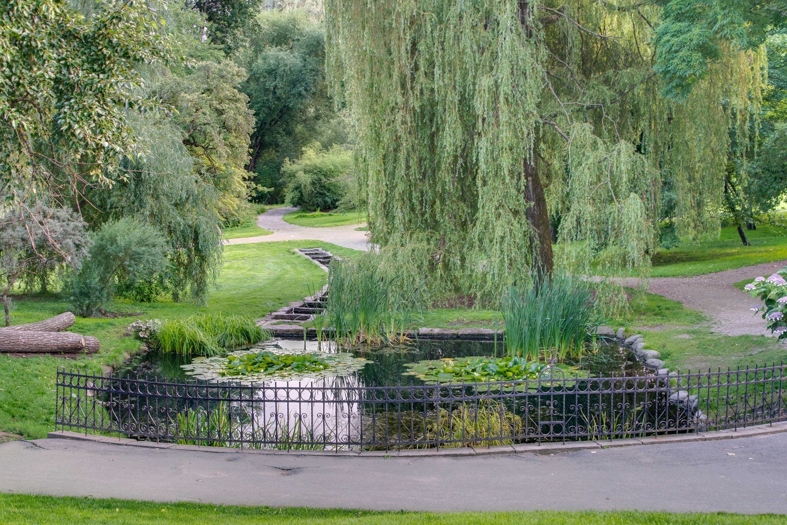 Like ved ligger idylliske Botanisk hage. Galleribilde