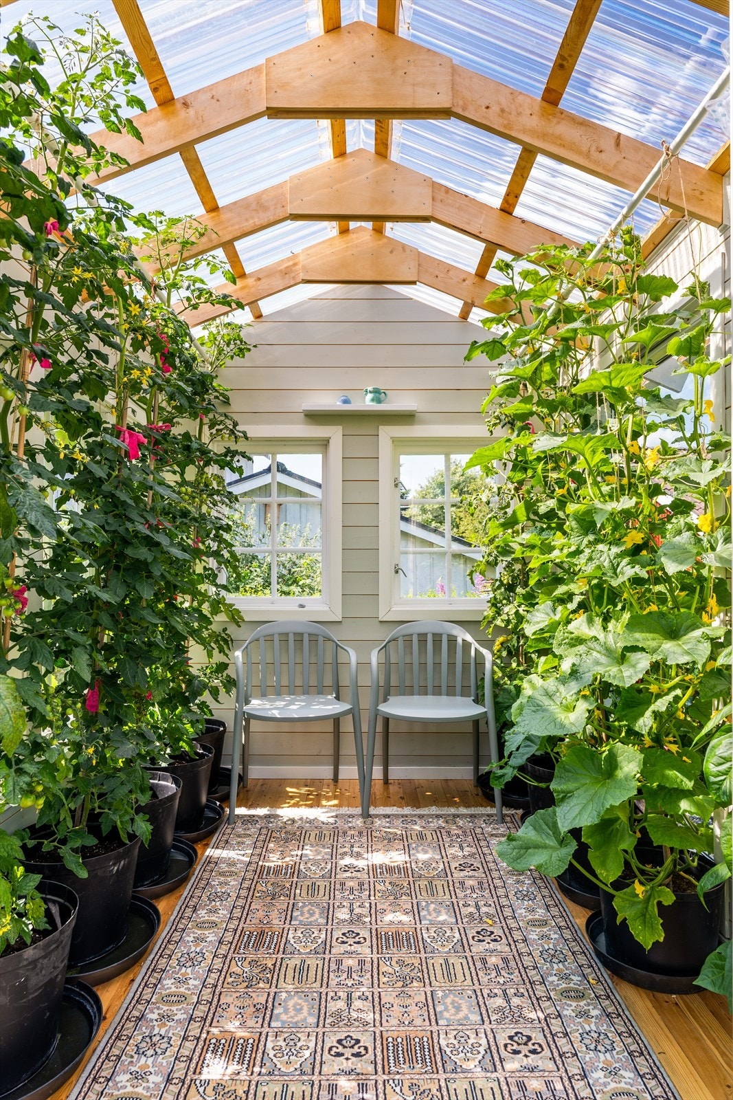 Fantastisk drivhus med innlagt strøm. Galleribilde